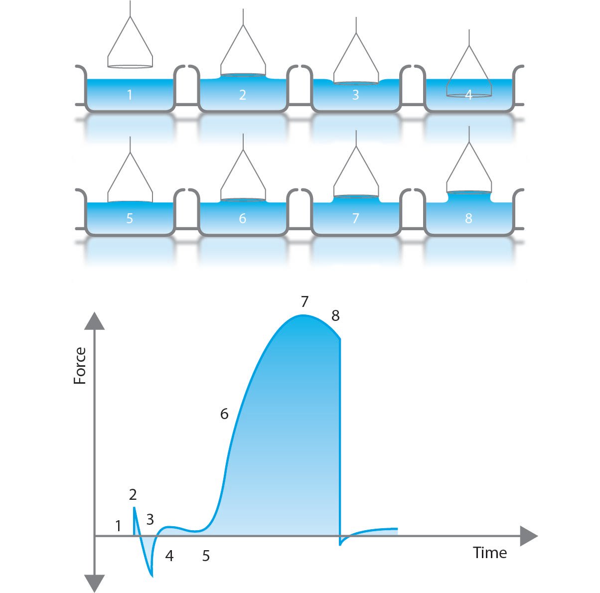 Surface tension measurement by Du Noüy ring method